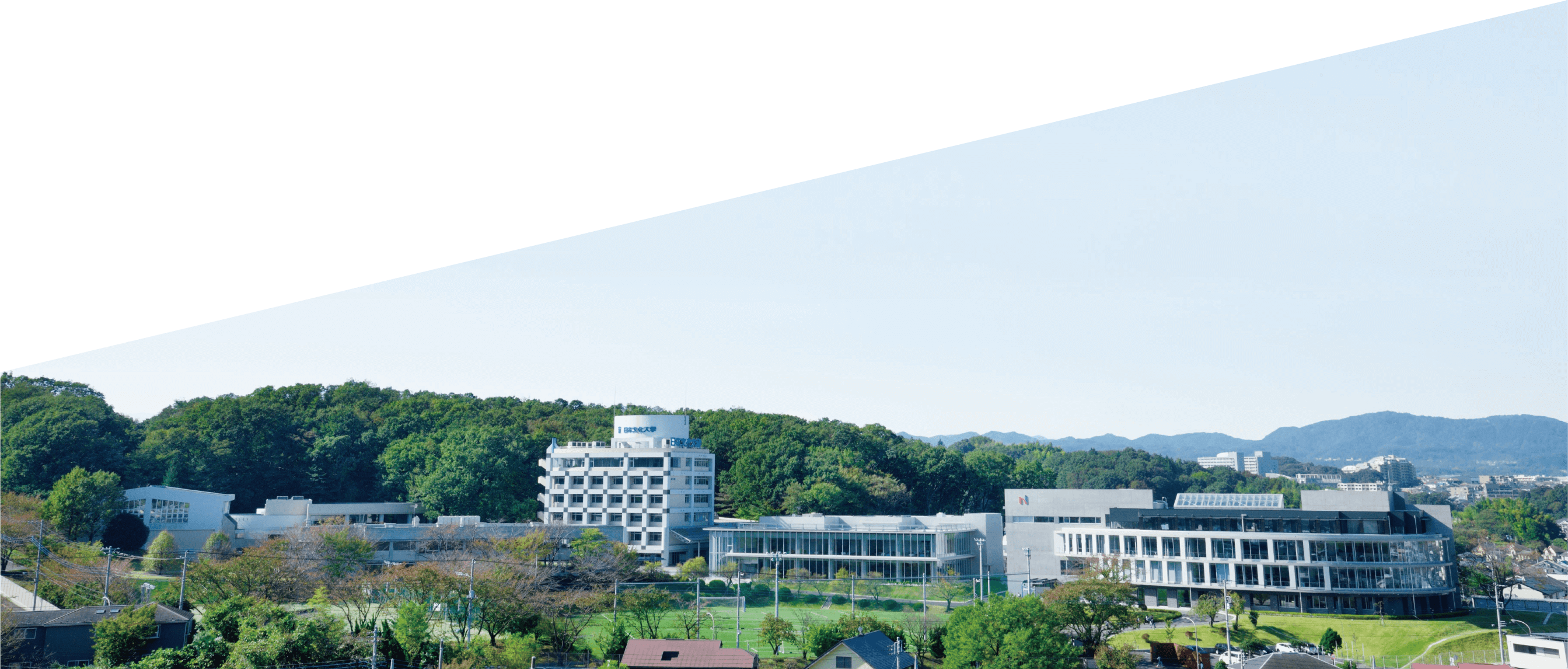 動画のイメージ