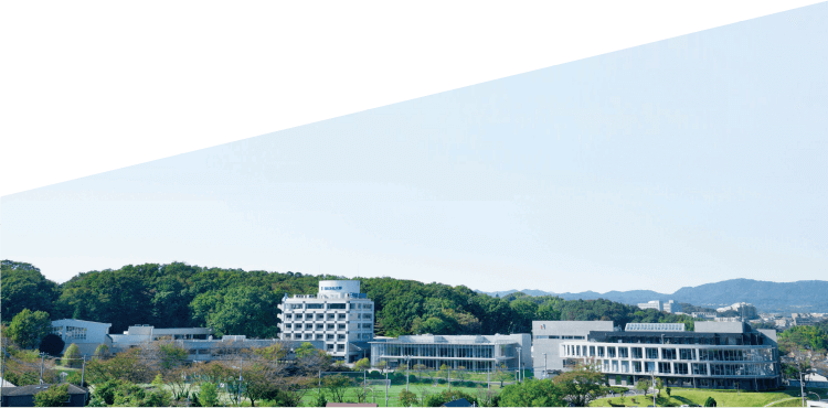 動画のイメージ